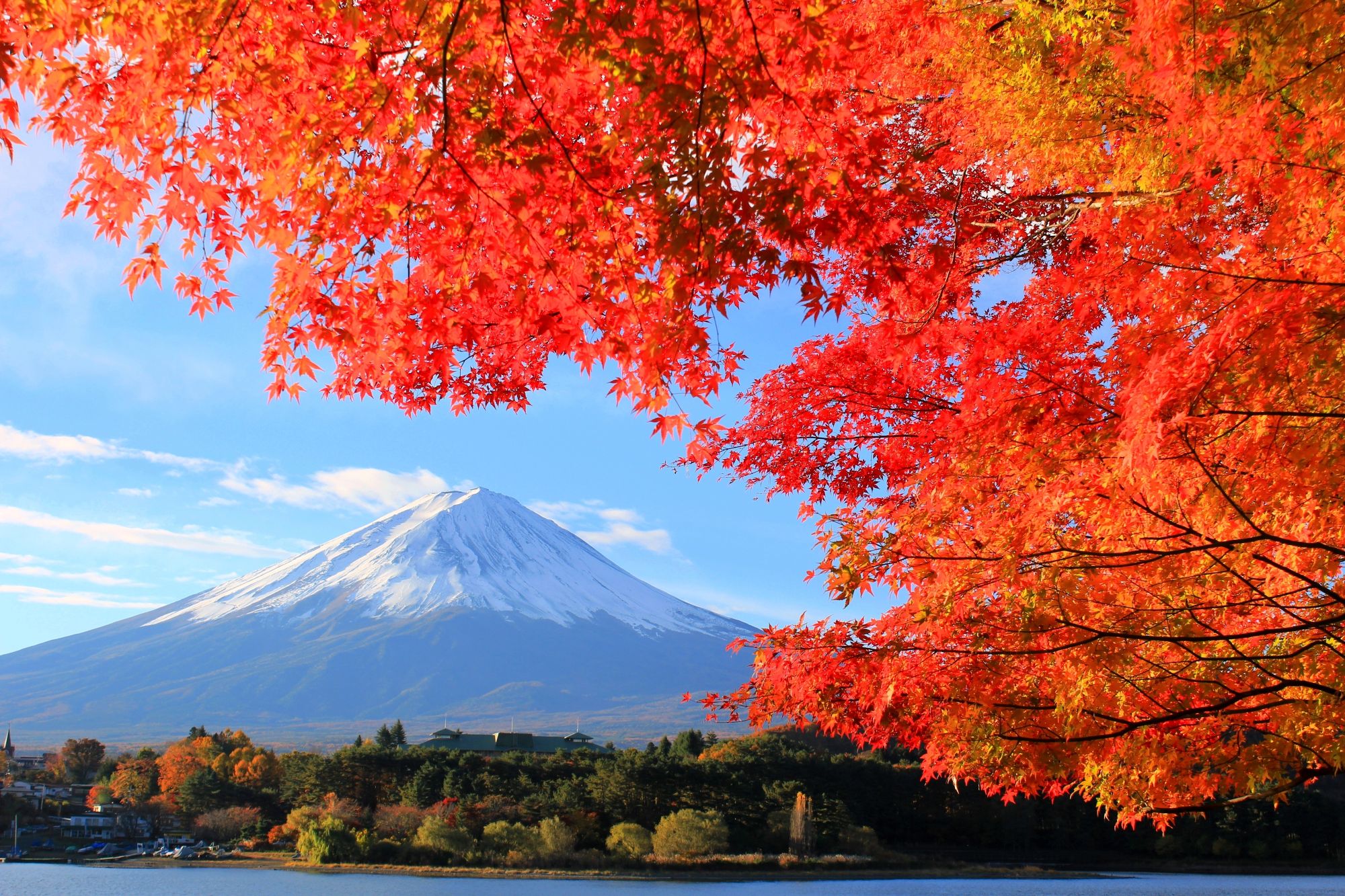 鈴木得夫　税理士事務所