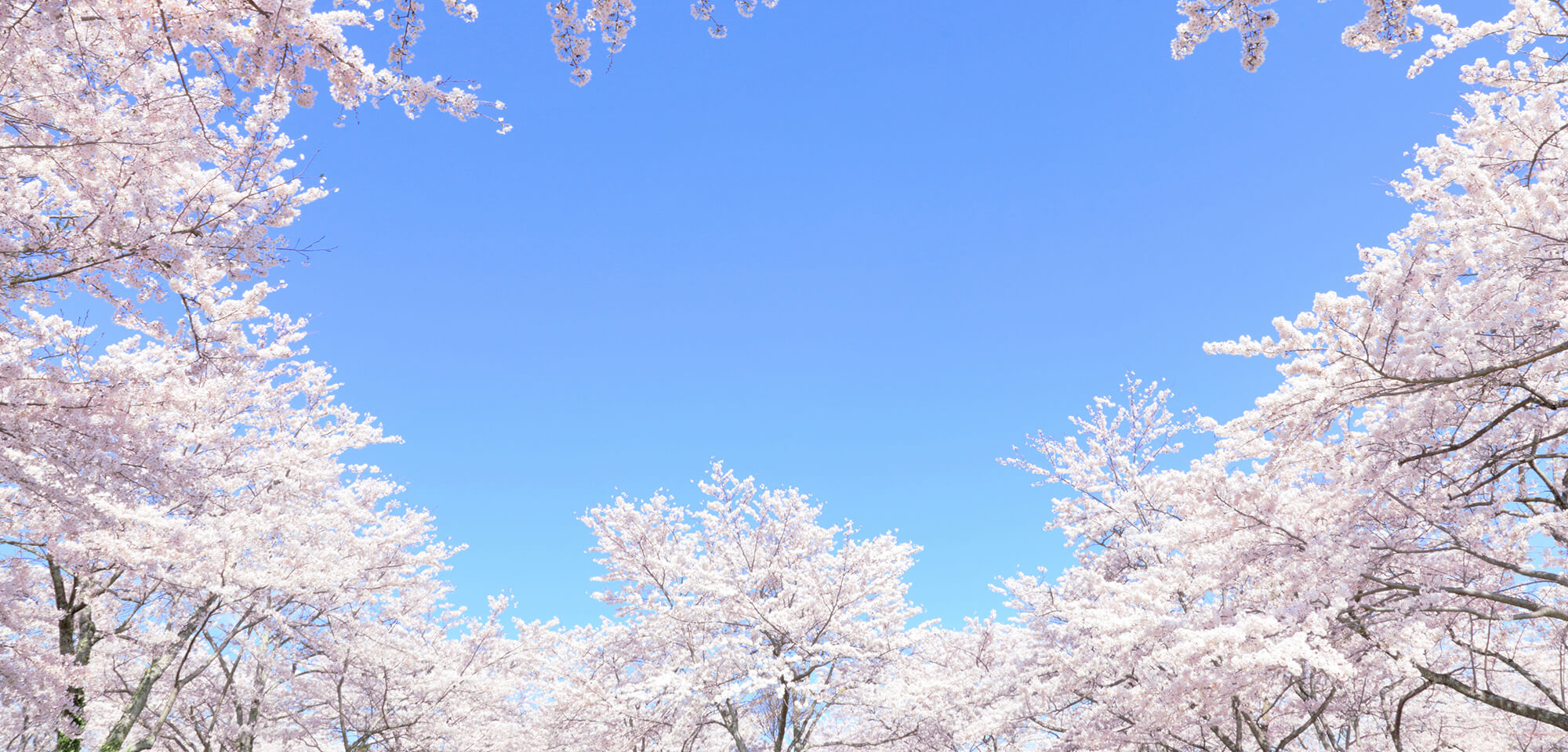 鈴木得夫　税理士事務所